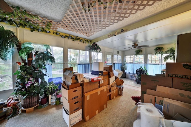 2817 Rustic Oaks Dr, Palm Harbor, FL 34684 - sunroom / solarium with carpet flooring