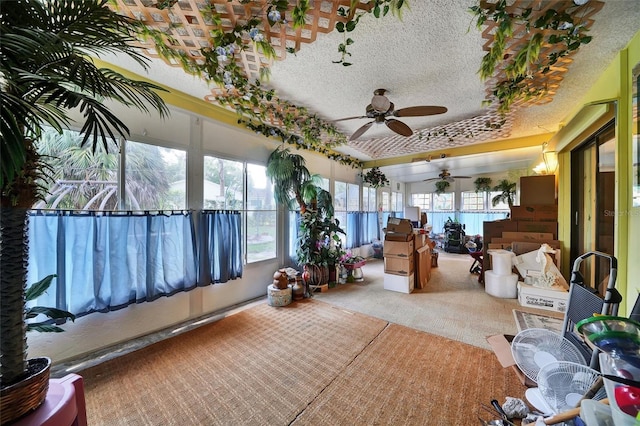 2817 Rustic Oaks Dr, Palm Harbor, FL 34684 - sunroom / solarium featuring carpet flooring and a textured ceiling