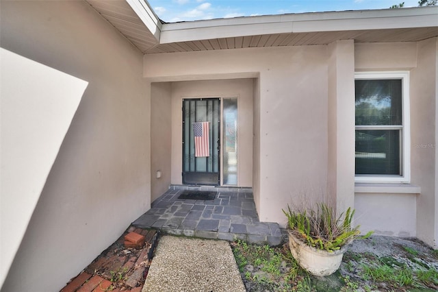 2817 Rustic Oaks Dr, Palm Harbor, FL 34684 - property entrance featuring stucco siding