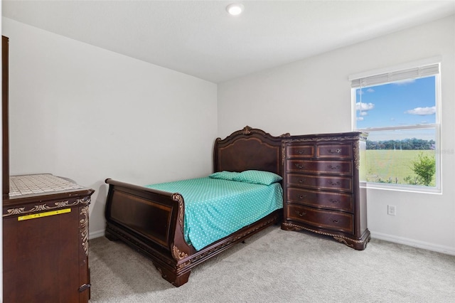33657 Field Maple Loop, Wesley Chapel, FL 33545 - bedroom featuring light colored carpet