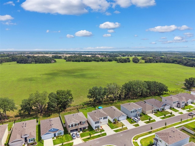 33657 Field Maple Loop, Wesley Chapel, FL 33545 - aerial view of residential area