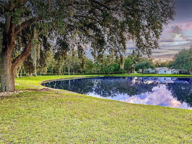 4617 Basswood St, Land O Lakes, FL 34639 - water view