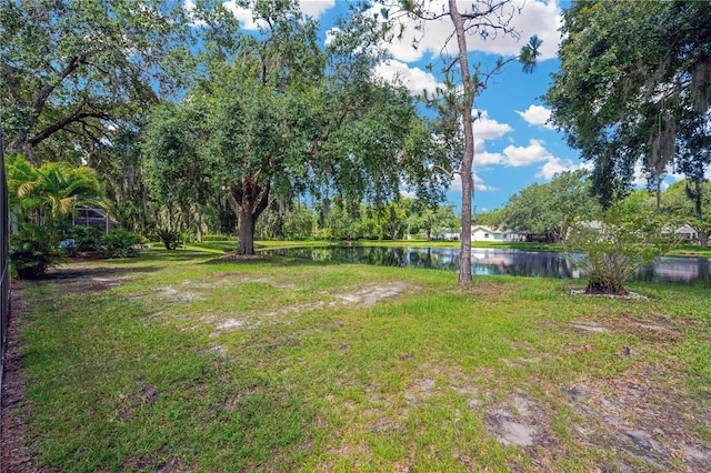 4617 Basswood St, Land O Lakes, FL 34639 - view of grassy yard with a water view