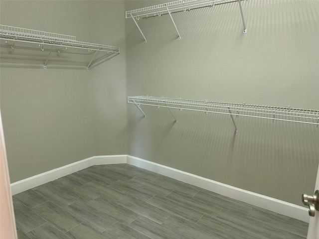1008 Arista Blvd, Valrico, FL 33594 - view of spacious closet