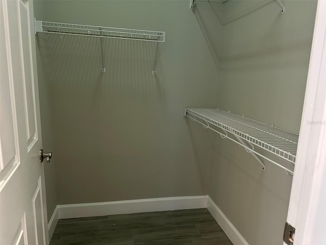 1008 Arista Blvd, Valrico, FL 33594 - spacious closet featuring dark wood-style flooring