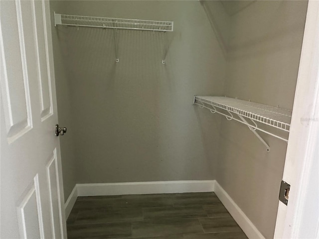 1008 Arista Blvd, Valrico, FL 33594 - spacious closet featuring dark wood-style flooring