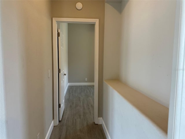 1008 Arista Blvd, Valrico, FL 33594 - hall with dark wood finished floors and baseboards