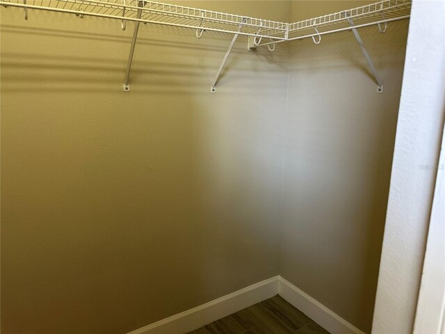 1008 Arista Blvd, Valrico, FL 33594 - walk in closet with dark wood-style floors