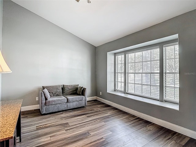 10206 Evening Trail Dr, Riverview, FL 33569 - living area featuring dark wood finished floors and lofted ceiling