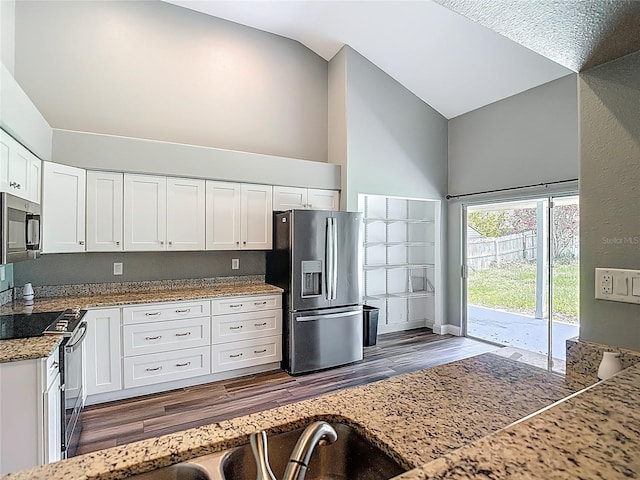 10206 Evening Trail Dr, Riverview, FL 33569 - kitchen with stainless steel appliances, high vaulted ceiling, wood finished floors, white cabinetry, and light stone counters
