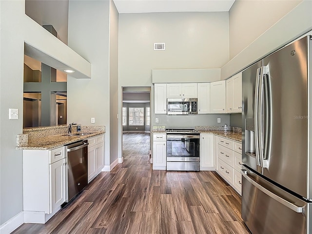10206 Evening Trail Dr, Riverview, FL 33569 - kitchen with appliances with stainless steel finishes, a towering ceiling, light stone counters, dark wood-type flooring, and white cabinets