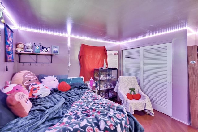 10549 112th Ave, Largo, FL 33773 - bedroom with wood finished floors and a closet