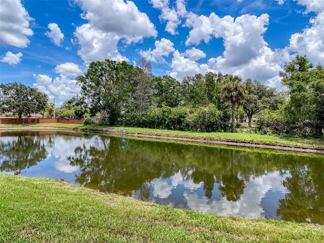 22925 Collridge Dr, Land O Lakes, FL 34639 - photo 93