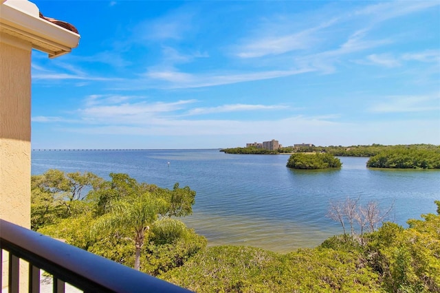 2739 Via Capri Unit 1039, Clearwater, FL 33764 - photo 3