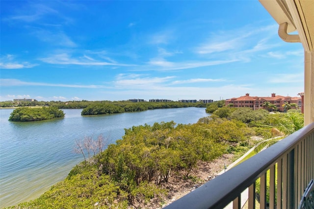 2739 Via Capri Unit 1039, Clearwater, FL 33764 - photo 25