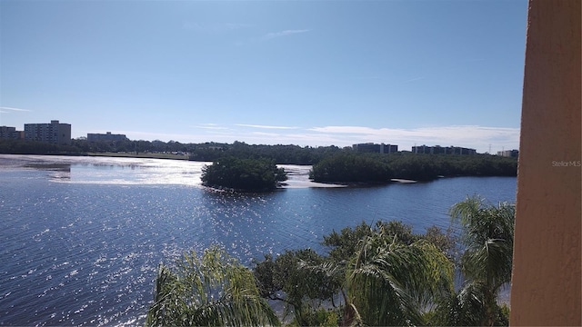 2739 Via Capri Unit 1039, Clearwater, FL 33764 - photo 26