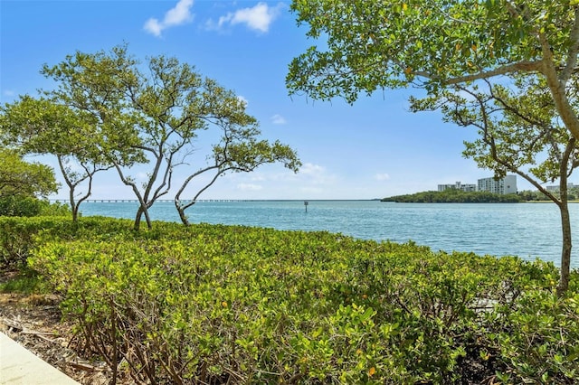 2739 Via Capri Unit 1039, Clearwater, FL 33764 - photo 36