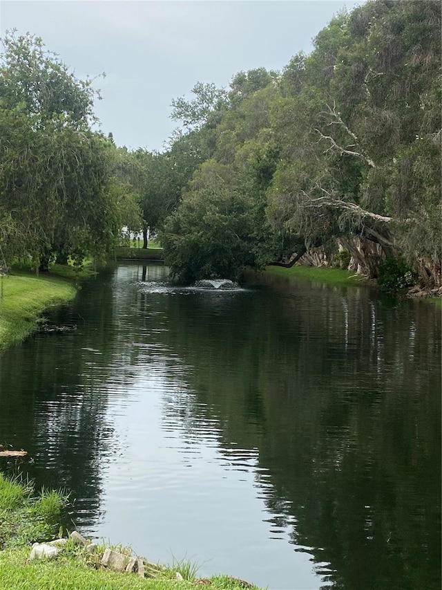 832 Cambridge Ct, Dunedin, FL 34698 - water view with a heavily wooded area