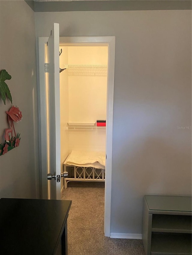 832 Cambridge Ct, Dunedin, FL 34698 - view of closet