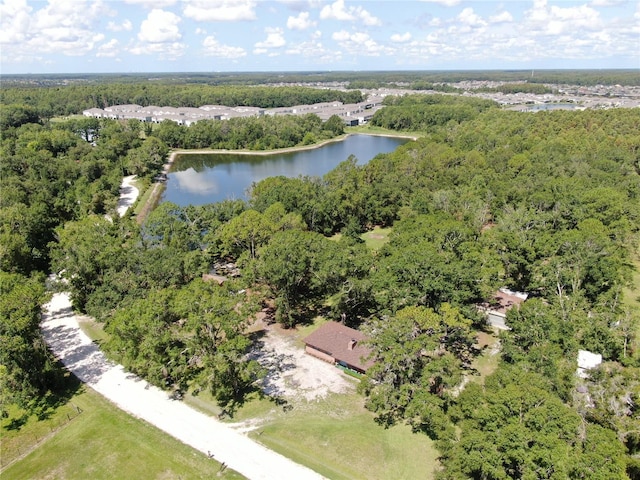 1753 Ranchette Rd, Wesley Chapel, FL 33543 - drone / aerial view of a forest and a large body of water