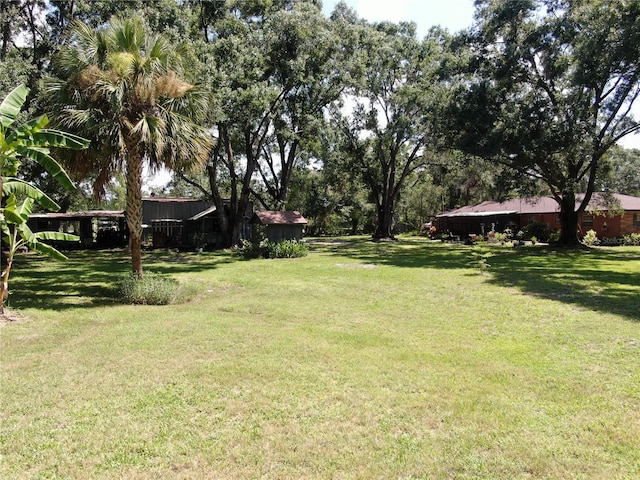 1753 Ranchette Rd, Wesley Chapel, FL 33543 - view of green lawn