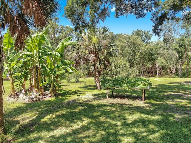 1753 Ranchette Rd, Wesley Chapel, FL 33543 - view of grassy yard