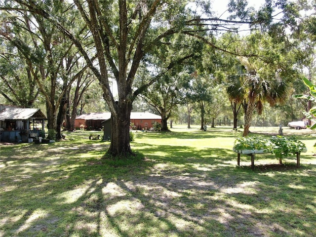 1753 Ranchette Rd, Wesley Chapel, FL 33543 - view of grassy yard