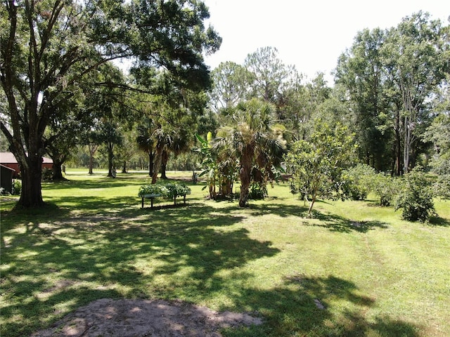 1753 Ranchette Rd, Wesley Chapel, FL 33543 - view of green lawn