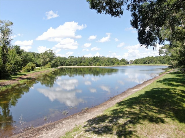 1753 Ranchette Rd, Wesley Chapel, FL 33543 - water view with a forest