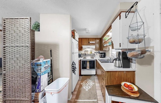 1753 Ranchette Rd, Wesley Chapel, FL 33543 - kitchen with white appliances, under cabinet range hood, light countertops, brown cabinets, and white cabinets