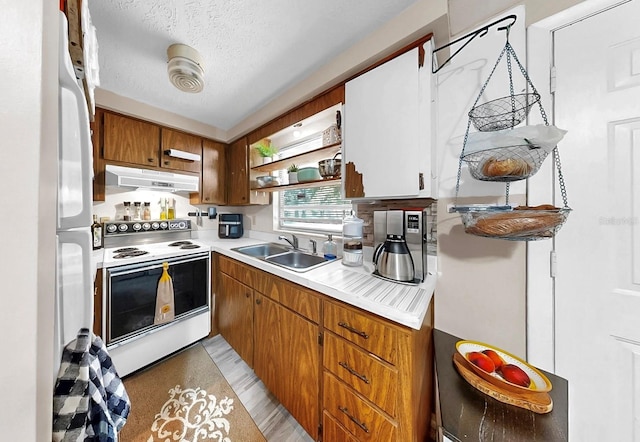 1753 Ranchette Rd, Wesley Chapel, FL 33543 - kitchen with white range with electric stovetop, under cabinet range hood, light countertops, open shelves, and a textured ceiling