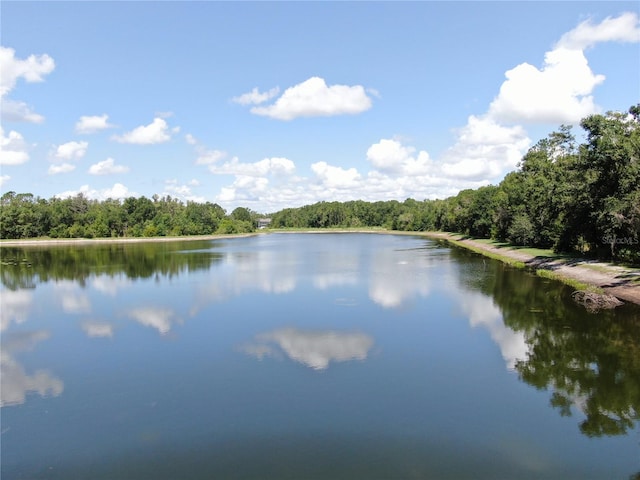 1753 Ranchette Rd, Wesley Chapel, FL 33543 - water view featuring a forest
