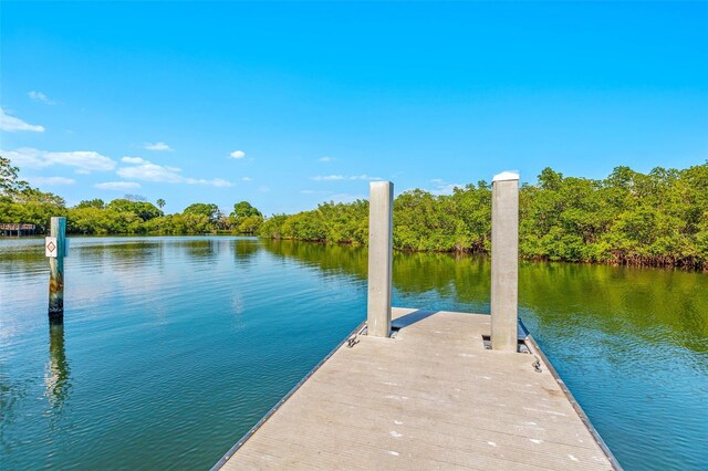 3940 Miramar Way S, Saint Petersburg, FL 33705 - photo 26