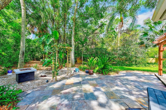 1578 Druid Rd S, Belleair, FL 33756 - view of patio