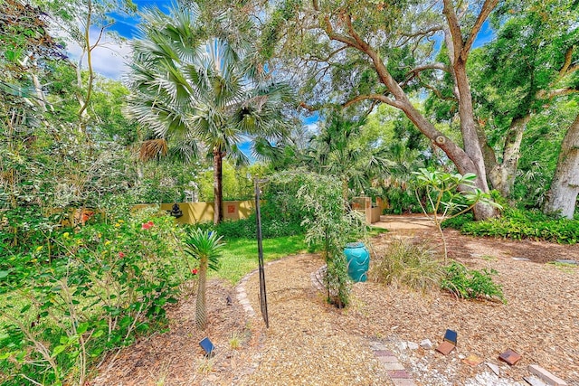 1578 Druid Rd S, Belleair, FL 33756 - view of yard