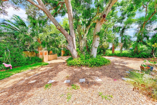 1578 Druid Rd S, Belleair, FL 33756 - view of yard