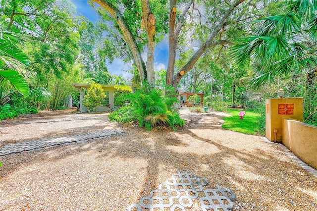 1578 Druid Rd S, Belleair, FL 33756 - view of yard