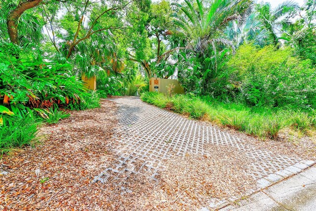 1578 Druid Rd S, Belleair, FL 33756 - view of road