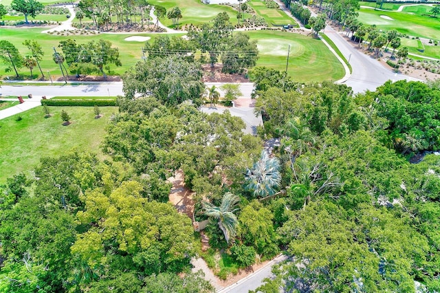 1578 Druid Rd S, Belleair, FL 33756 - aerial view of property and surrounding area with a golf course and a tree filled landscape