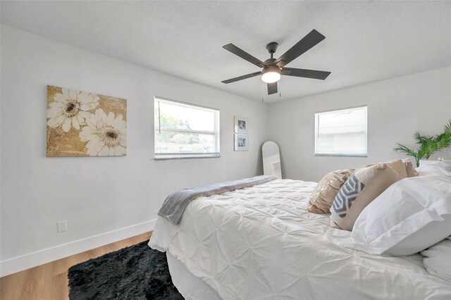 6352 Canton St S, Saint Petersburg, FL 33712 - photo 32