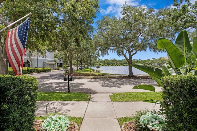 10003 Brompton Dr, Tampa, FL 33626 - photo 3