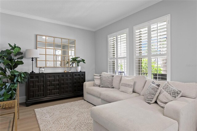 10003 Brompton Dr, Tampa, FL 33626 - photo 9