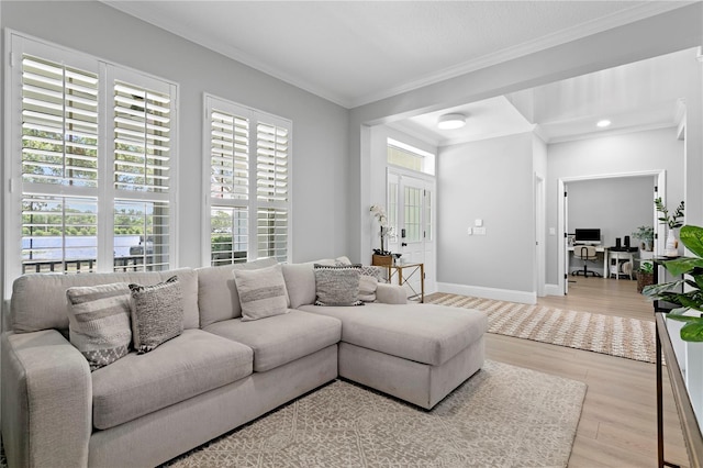 10003 Brompton Dr, Tampa, FL 33626 - photo 11