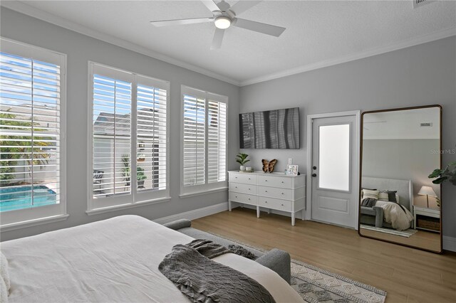 10003 Brompton Dr, Tampa, FL 33626 - photo 34
