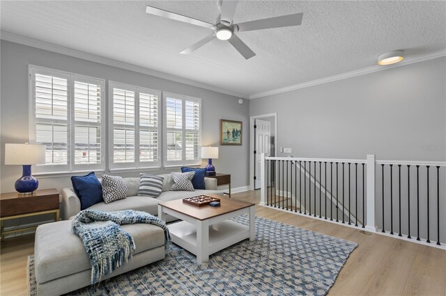 10003 Brompton Dr, Tampa, FL 33626 - photo 47
