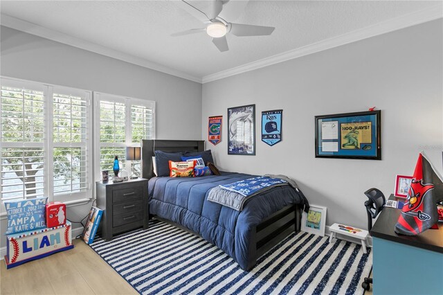 10003 Brompton Dr, Tampa, FL 33626 - photo 53