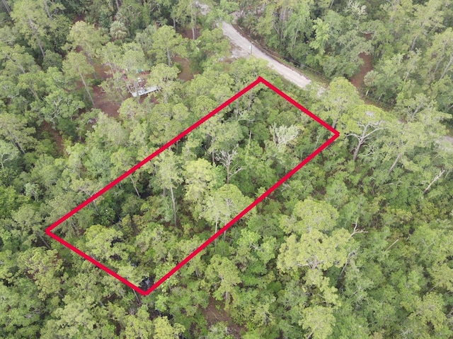 Stuart Cove Rd, Crawfordville, FL 32327 - photo 1