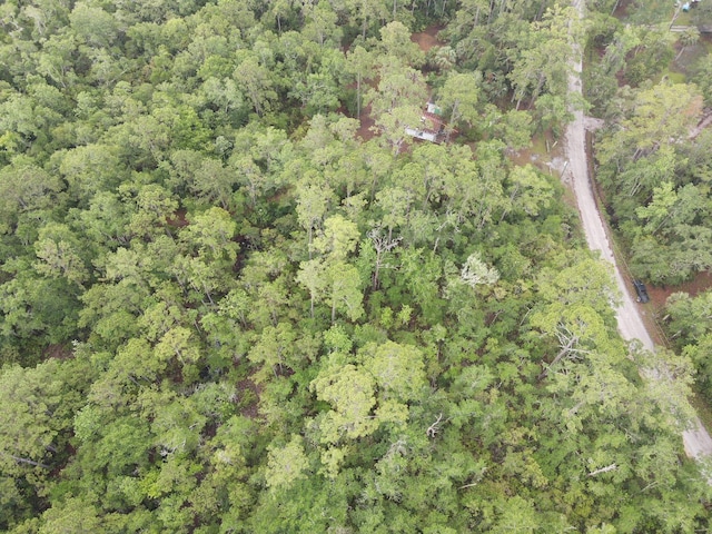 Stuart Cove Rd, Crawfordville, FL 32327 - photo 2