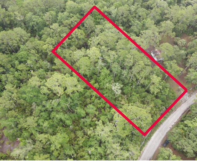 Stuart Cove Rd, Crawfordville, FL 32327 - photo 3