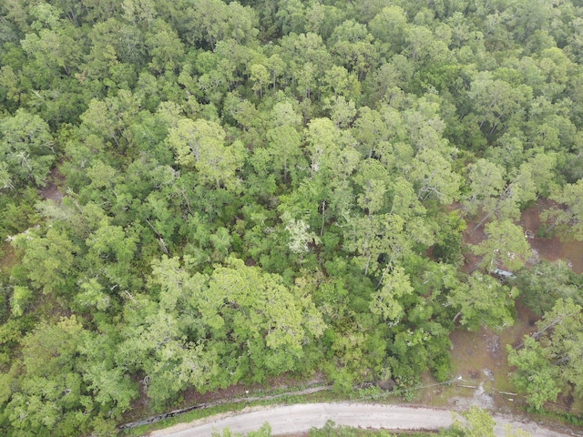 Stuart Cove Rd, Crawfordville, FL 32327 - photo 4